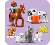 LEGO DUPLO 10416 Opieka nad zwierzętami na farmie - 1202651 - zdjęcie 9